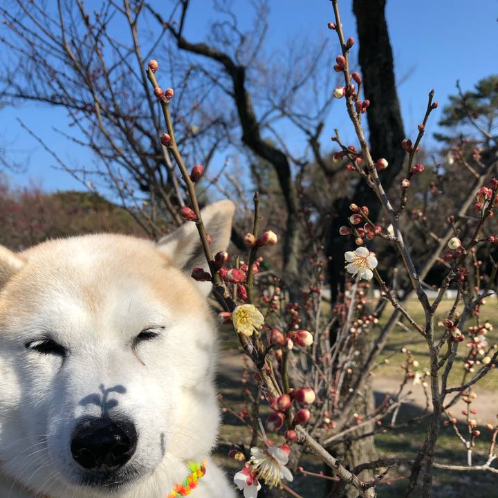 08b3d477 da88 4781 b901 5d9eaa48b100 1549257563871