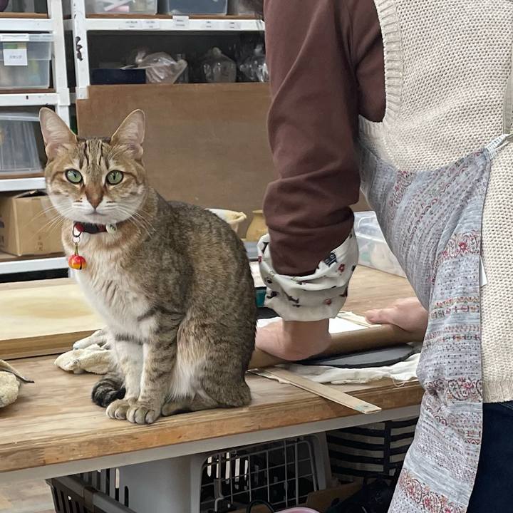 08b402d7 671b 492d 9caa 21d524a783df 1678953722059