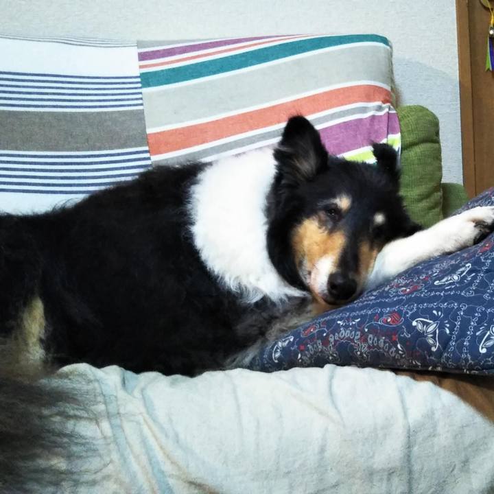 08b42d70 f907 440e 9ab6 cd5ce96cead0 1630507145336