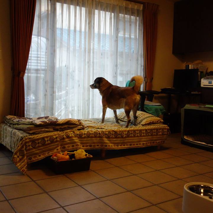 08b44aa2 9e0a 4b8c bd67 c8d28a9c9770 1654994834008