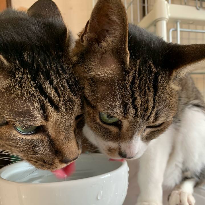 08b48c53 4167 4659 9890 7770d308d19a 1596414903202