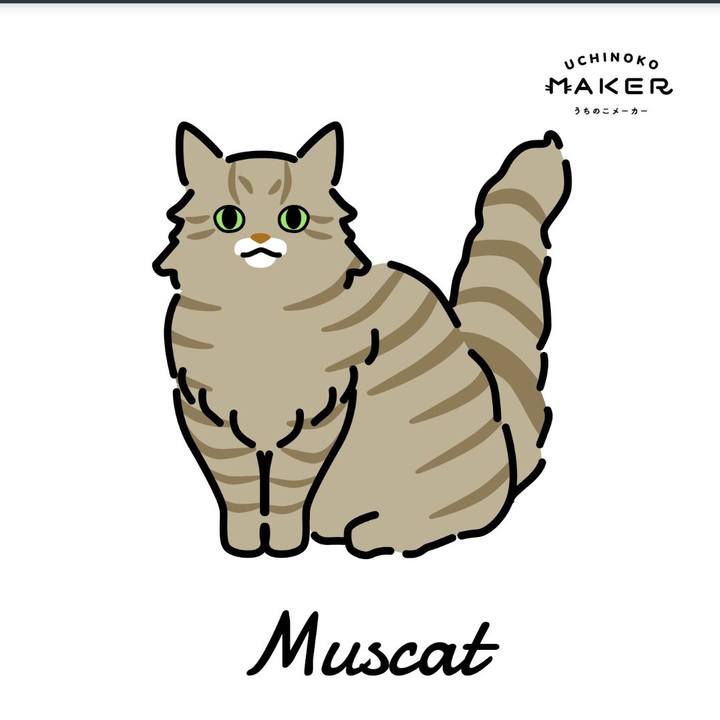 08b490c4 5c1b 4805 bf94 fddb97a3f7dc 1659924935909