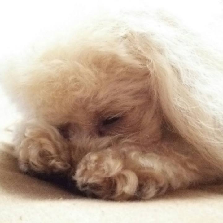 08b4b999 6f80 4932 8465 3634de708ff2 1531833711389