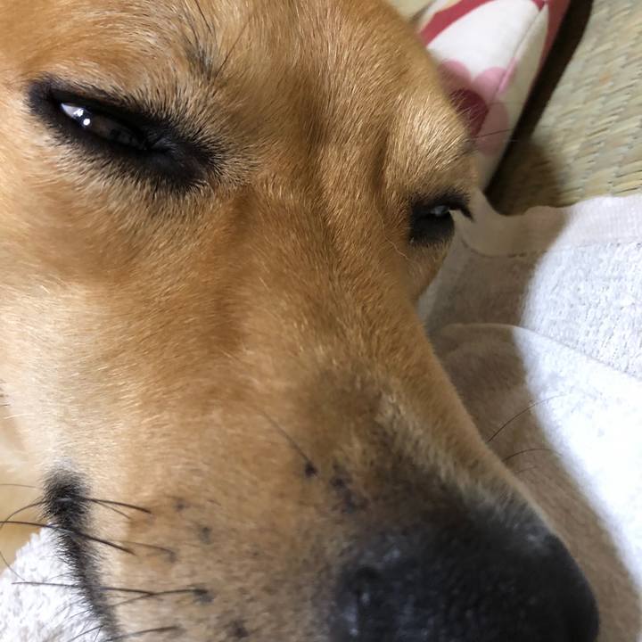 08b4fdb8 93c6 417c bcdb 4ab0e88fa43b 1536141030662