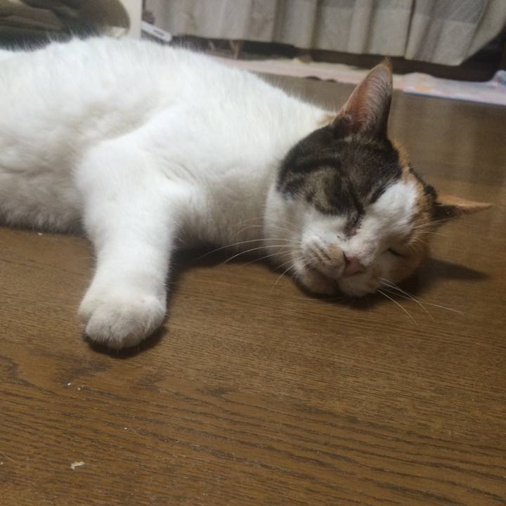 08b50303 feac 46e6 ac28 a1d0c67ce433 1534865725138