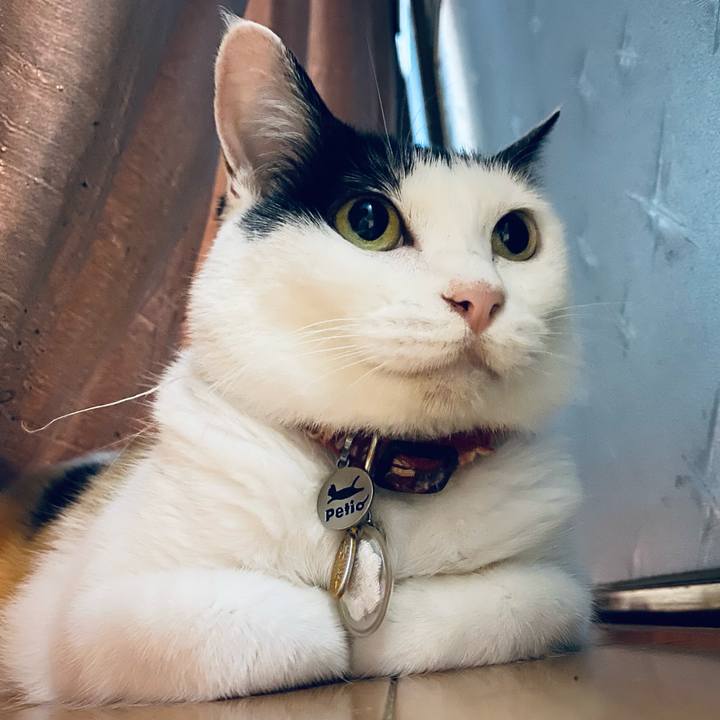 08b5136a 0b3b 413d bf7e a0ae6a8d0a8b 1751985736024