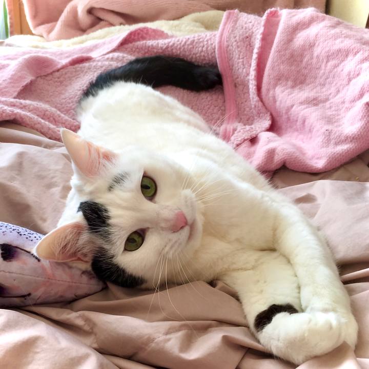 08b51bef 5ac3 47e4 8211 bad10efcf8c1 1616483458510