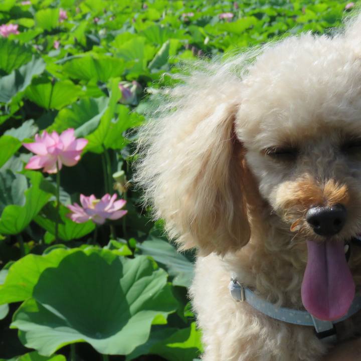 08b5561c a983 4881 bbc4 38d1ec9e90aa 1656823947994