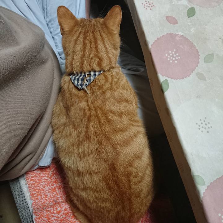 08b5b3a7 f927 40cd ae76 81eaba95a067 1572900358551