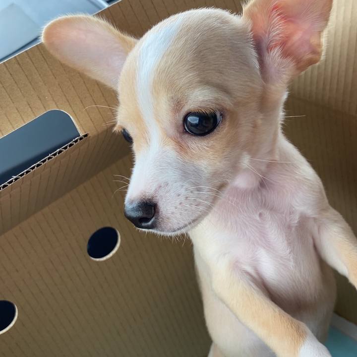 08b5c651 085b 48be b2f5 4480c54f167c 1693039545192