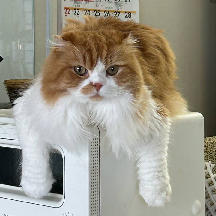 08b5c7b6 0266 4745 a104 d142e09d6e90 1696657413666