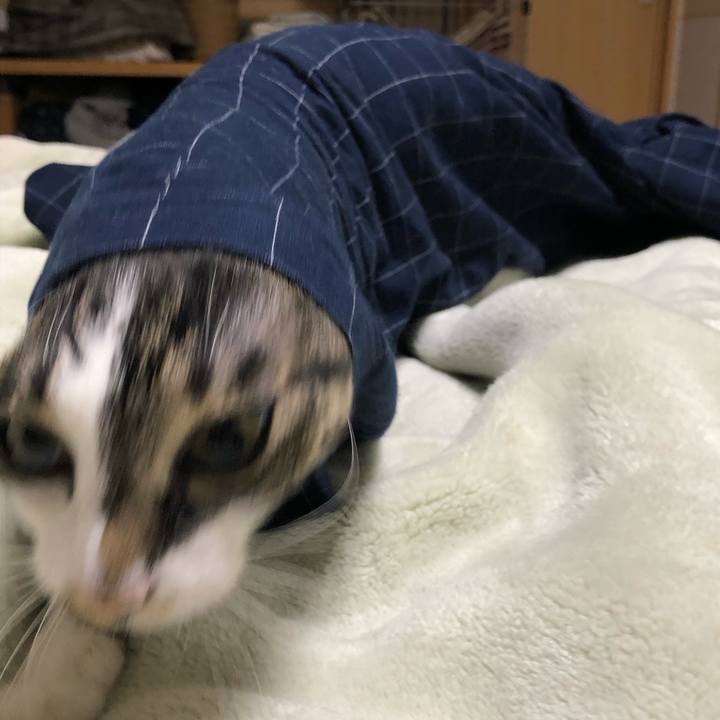 08b61e39 89b9 4ce7 b38b e5cb58ca3bca 1556572689469