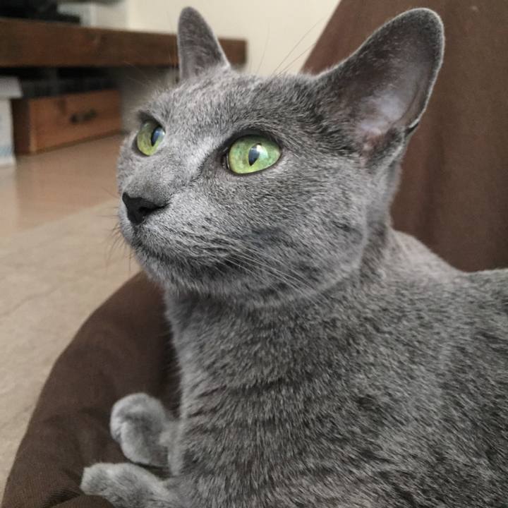 08b6384a c55a 4a47 8a5b 28a6c767de5d 1554008051650