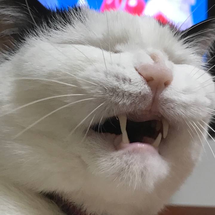 08b65143 4355 4509 b708 258edf05a509 1519480574760