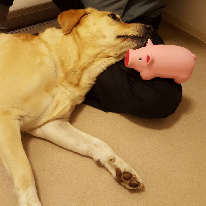 08b66201 04f1 473c b3a1 b9683d2e07cc 1508673757513