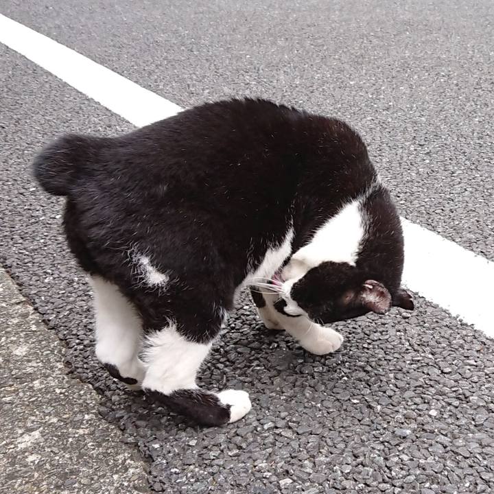 08b66d2e 6fd4 4331 bf93 0dabe3e837fb 1665900388753