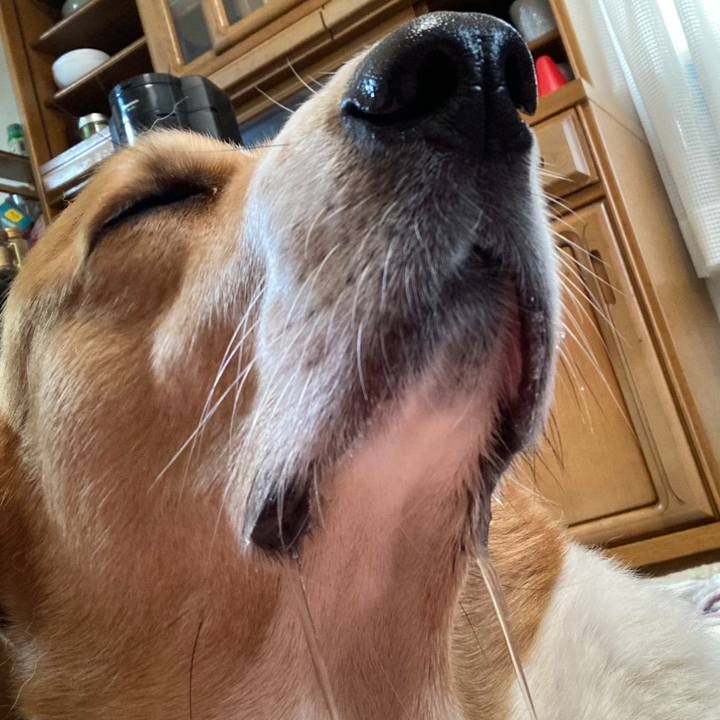 08b67e94 34ef 4d35 8b23 96372bfb722c 1762658045264