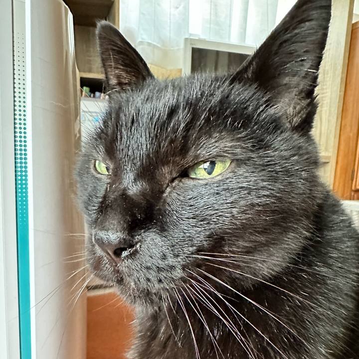 08b6a269 38bb 4232 810c 6106ee0a0d59 1700185033028