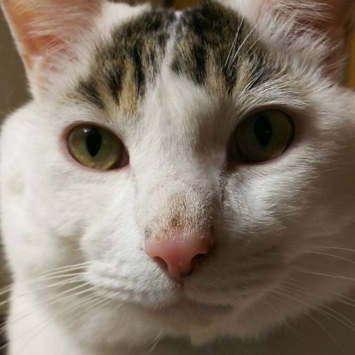 08b6bd55 0d21 4772 8b23 cbc042a161a6 1513262139529