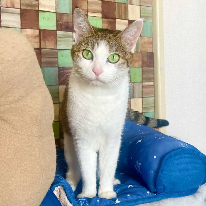 08b6c407 8a89 433c 946b 5764832e0f60 1740567973594