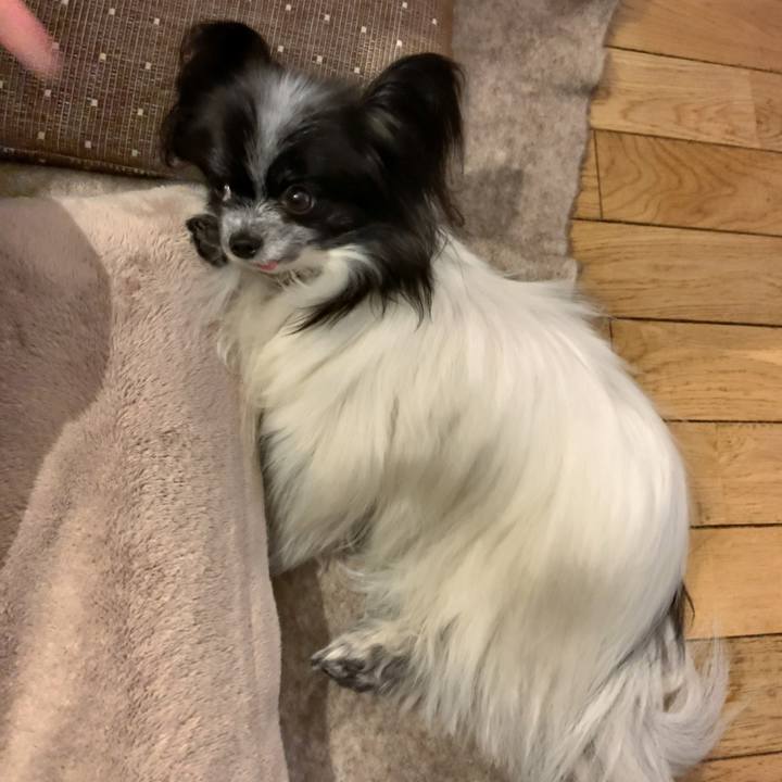 08b6e0af 34f9 4cba a8f1 5d412fd5b05a 1588163762737