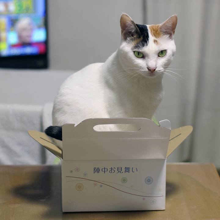 08b73a17 c9c0 4bfb a1e3 cd6b27c11e8e 1599910002709