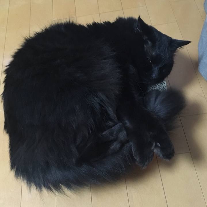 08b741cd 1f94 432c 8675 a62d655f9135 1525002191949