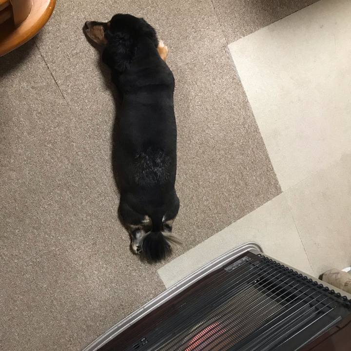 08b74a09 6e44 455c a87c 98fe42b737be 1541022774977