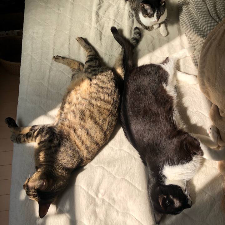 08b759f3 5453 40dd 85ea 1caf53539d64 1614031106982