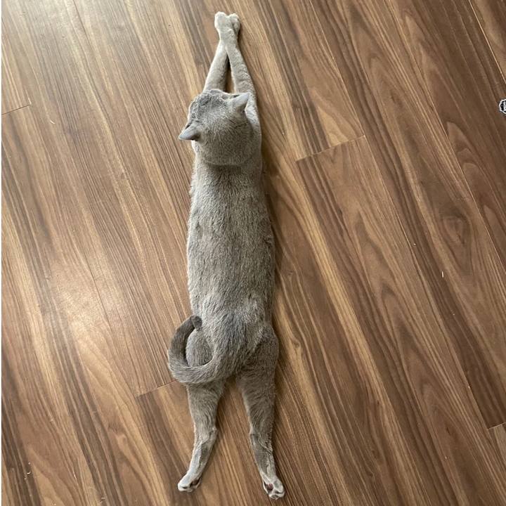 08b770ef d9a5 4369 b339 b3f4c70cf9c4 1740397855862