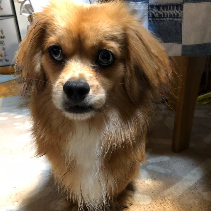 08b7891c 1d75 4869 9ff9 6501ab3b7d03 1528232811710