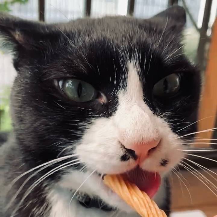 08b79e37 48fe 4f56 82a5 3fa6c50fa0c9 1742871947666