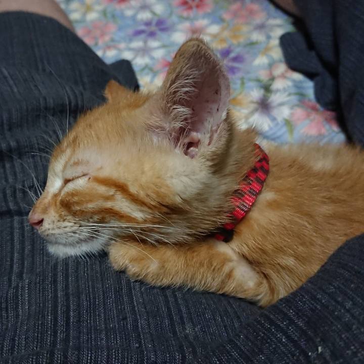 08b7c557 d58b 4e16 92fb 5ccb96dec8b4 1628081282785