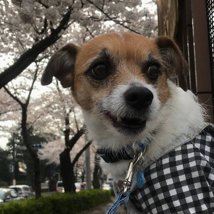 08b7c604 e27b 4221 b70f 448d9ea632f8 1522199812289