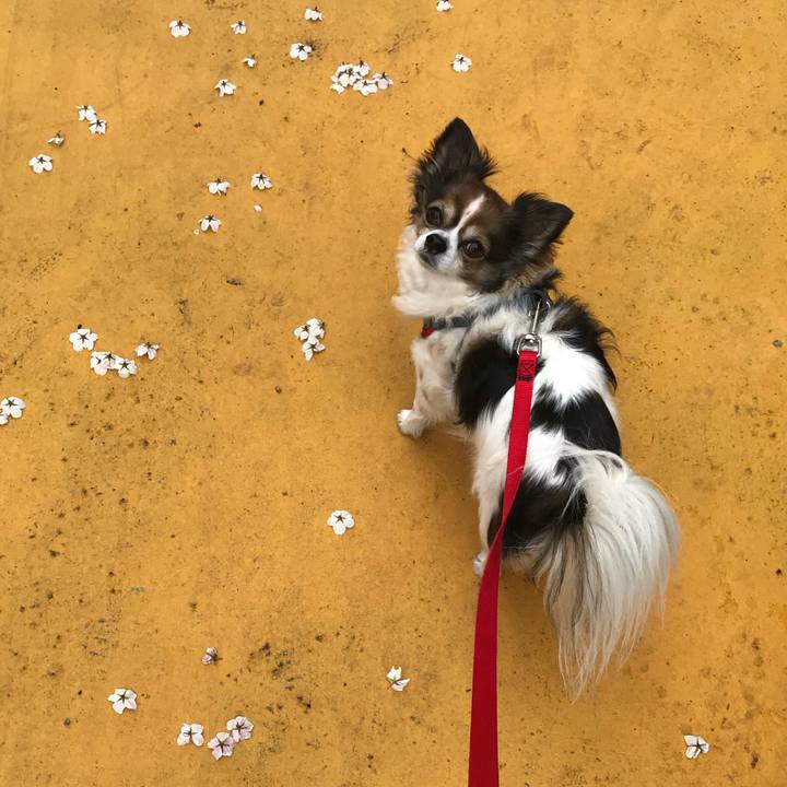 08b7d063 a540 4808 b952 329b68508646 1585615578941