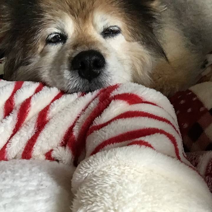 08b8187e 1151 4035 b2eb 2c1ce8f85280 1622090406959