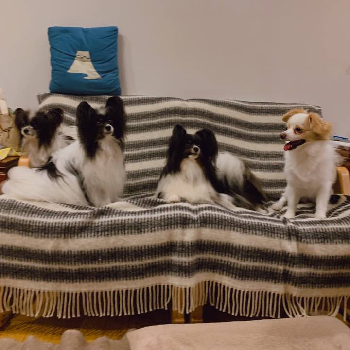 08b832e0 6396 4c84 ad08 813d0e1cea7d 1634386837450