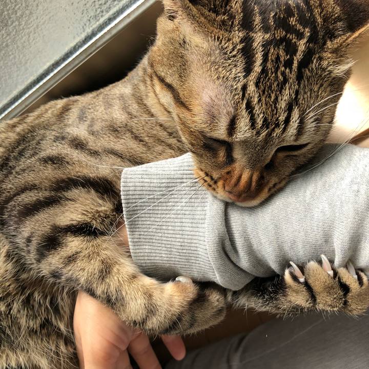 08b8394b e527 4770 8d00 83d2436aaa44 1522976261783