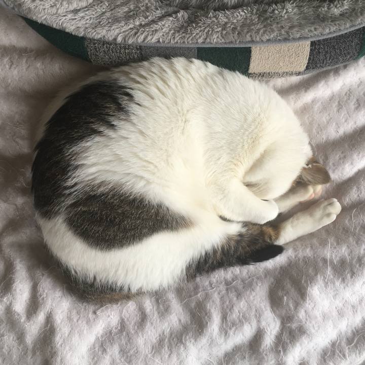 08b849e1 1c6f 46d7 aa0c 18f67cc9b5a0 1526870105412