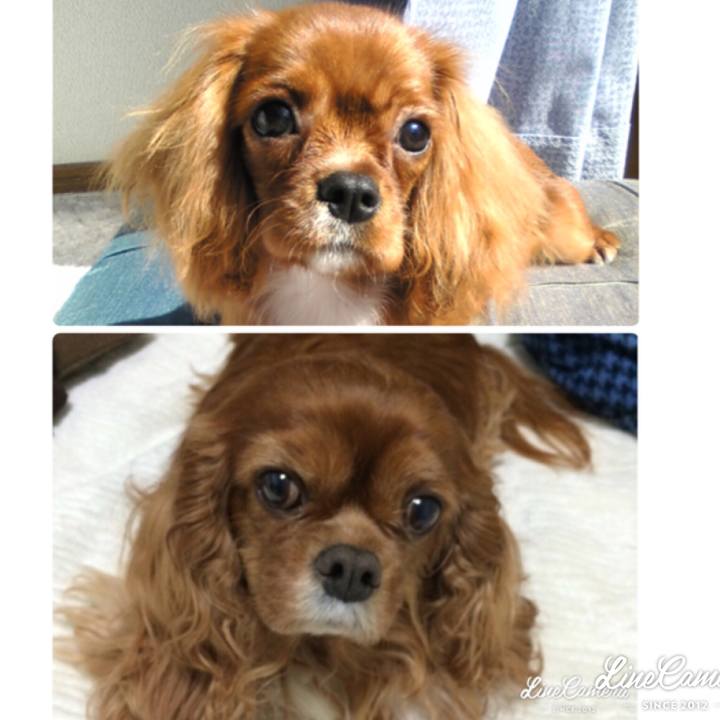 08b8647f e92b 46d0 ac02 53758fc93aa0 1536676131354