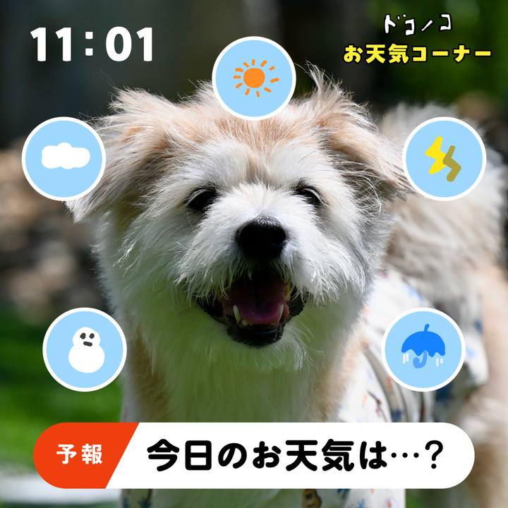 08b8954a 96ab 46d7 a2e9 09543e79d025 1781940561332