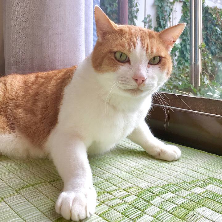 08b8c150 3e8f 41ca 83d3 8d28845ae5e3 1582169683850