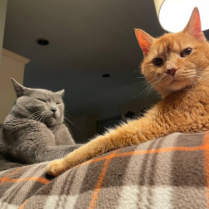 08b8d327 58df 4a07 94ef bae5bc1b7a7a 1769551139305