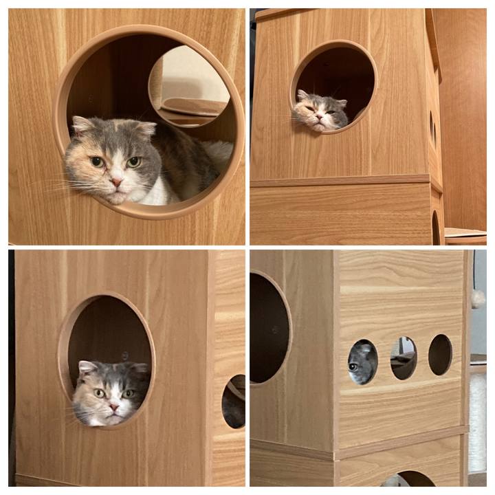 08b91295 974d 406c 8bed cbc9ee3a1187 1620215619030