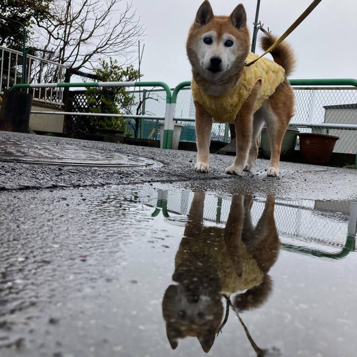 08b96169 197c 45e0 af29 47399f0aac70 1772583248486