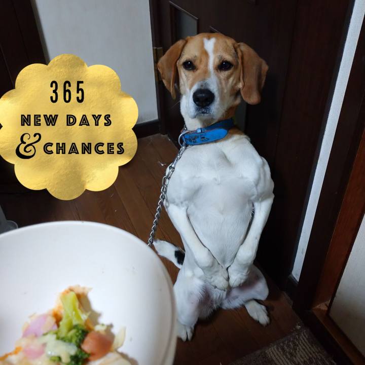 08b982eb 5814 4f51 825f ac71fcb857b4 1614068103024