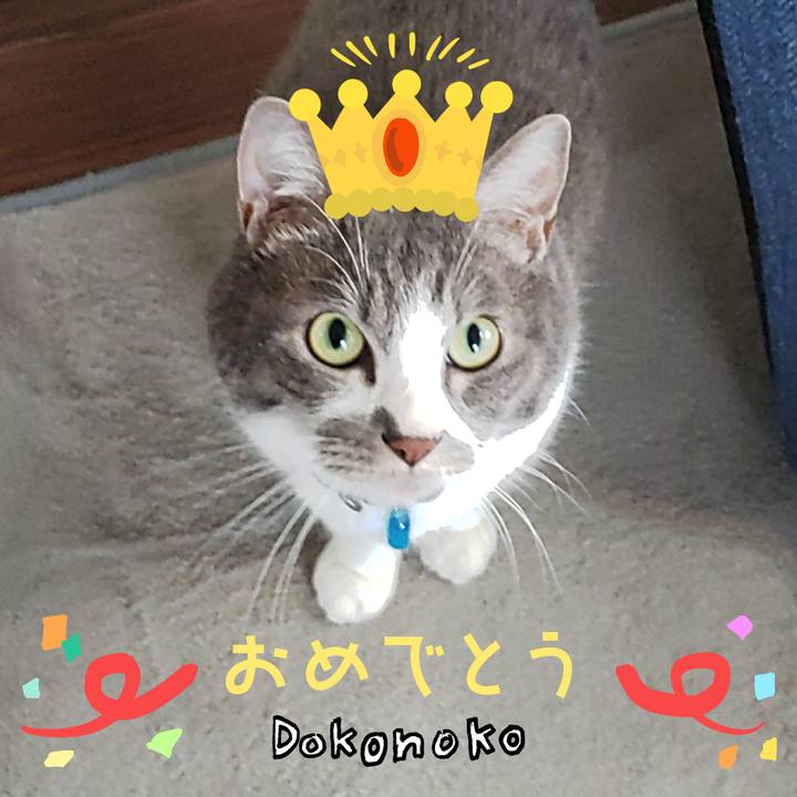 08b9e549 1980 4cf2 8c66 225ddf5d8824 1686002721766