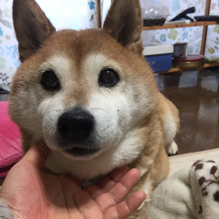 08b9f619 5c0e 48f6 9f3c 85a1faed60de 1520464915467