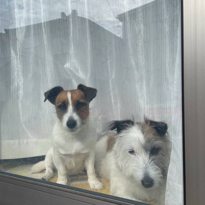 08ba3a71 70c1 4ba9 9cc8 5ffbfa15dd2f 1726614373179