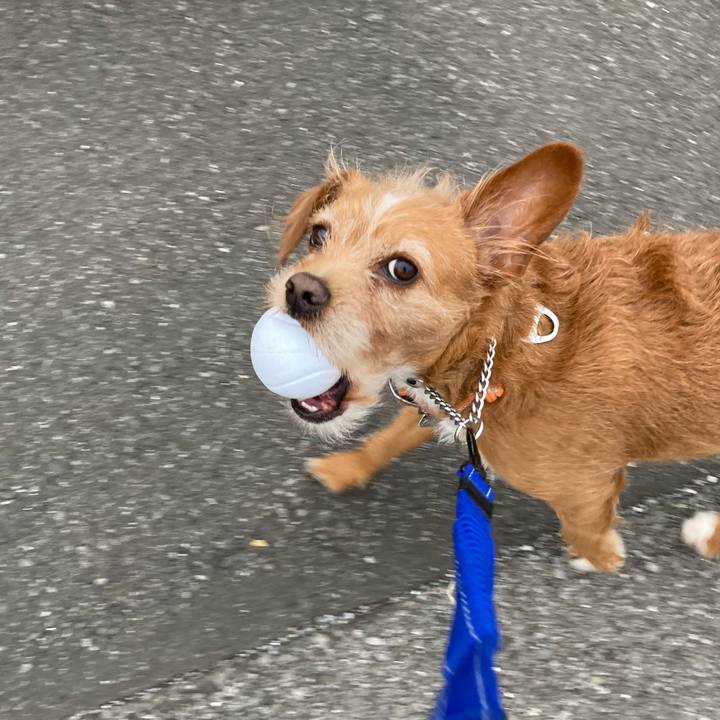 08ba855d 8c67 4675 ad25 400be8cebd0e 1613343406543